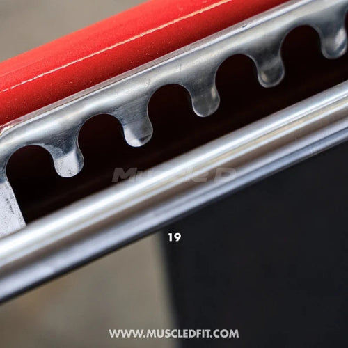 Muscle D Fitness Pro Strength Convertible / Orbital Linear Bearing Row