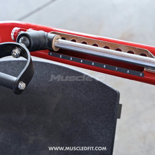 Muscle D Fitness Pro Strength Convertible / Orbital Linear Bearing Row