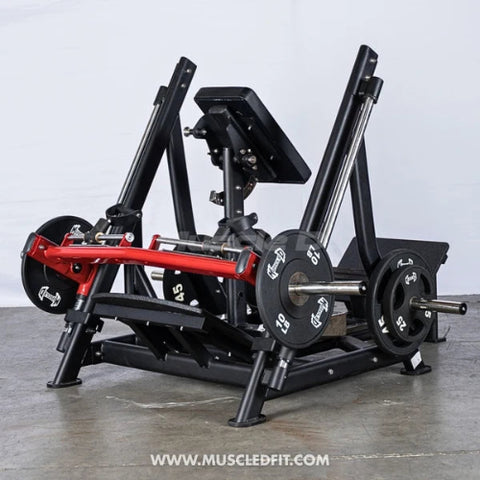 Muscle D Fitness Pro Strength Convertible / Orbital Linear Bearing Row