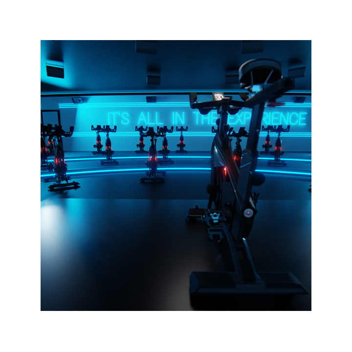 Schwinn Zs Bike