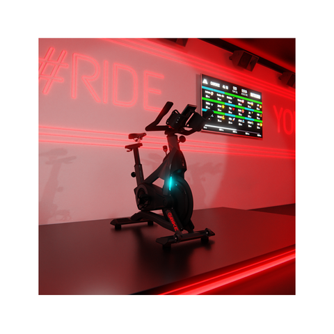 Schwinn Zs Bike - Demo
