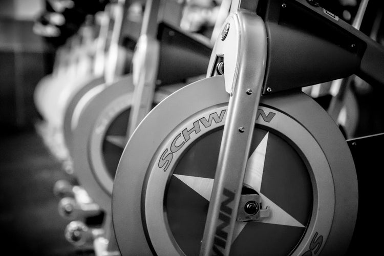 Schwinn A.C. Performance Plus with High Performance Chain Drive - Premium Certified Pre-Owned