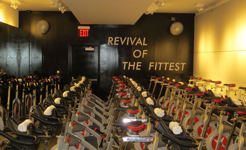 Schwinn A.C. Performance Plus with High Performance Chain Drive - Premium Certified Pre-Owned