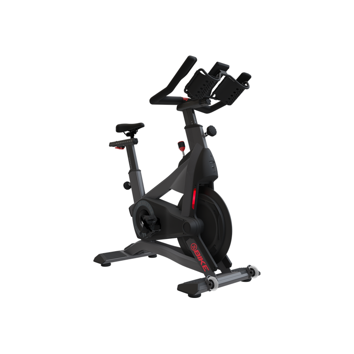 Schwinn Zs Bike - Demo