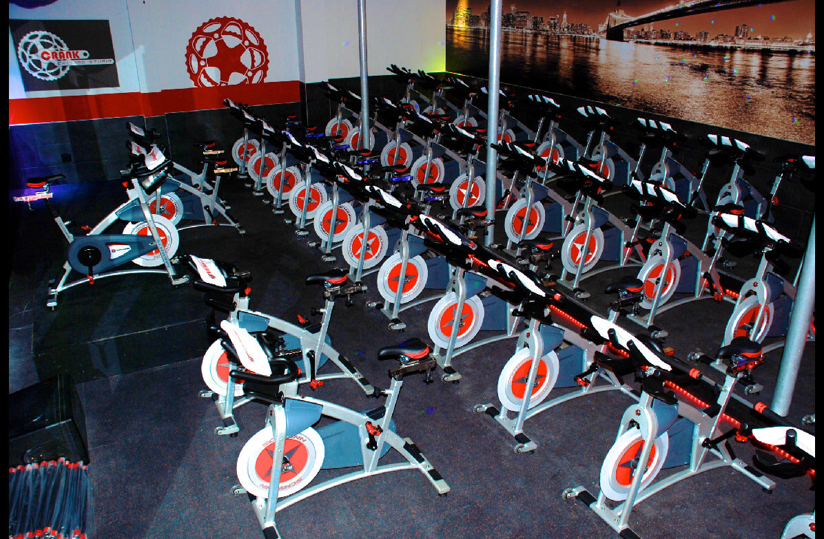 Schwinn A.C. Performance Plus with High Performance Chain Drive - Premium Certified Pre-Owned